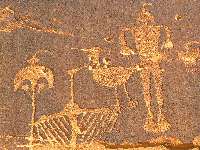 Wolfman Panel - articulated toes