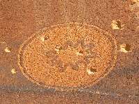 Wolfman Panel - sun shield?