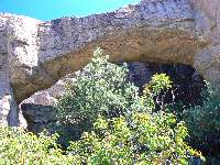 Chiricahua NB