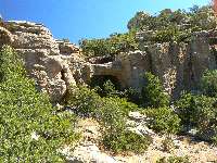 Chiricahua NB