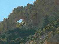 Sceloporus Arch