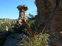 Thor's Hammer