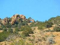 Whitetail Arch