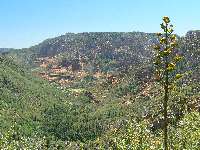 Looking into Oak Creek
