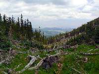 Aubineau Avalanche Chute