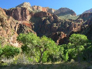 Lilting into BA riparian area, Day 5