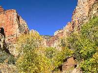 Scenic Toilet-Roaring Sp.