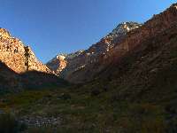 North Kaibab Morning