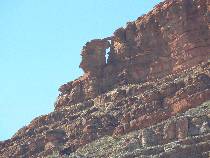 Karabiner Arch