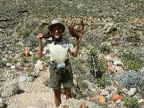 Rob as Desert Bighorn