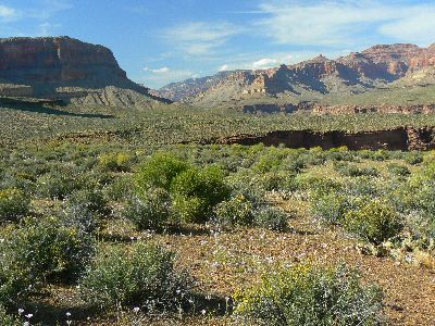 Transcendetnal Trans-Tonto - near Turquoise of the Tonto West