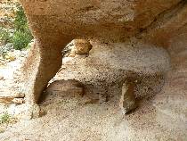 Turtle Leg Arch