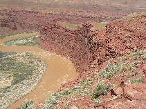Unkar Rapids from Escalante Route