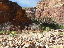 Day 3 - to Papago