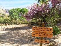 Day 9 - Tonto/BA Red Bud