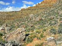 Hermit Scenic Toilet