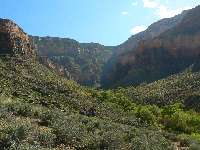 Tonto - arriving Indian Gardens