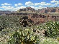 Between S. Kaibab and BA