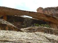 Wall Runner, 31-ut-636 3