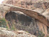 Wall Runner, 31-ut-636 4