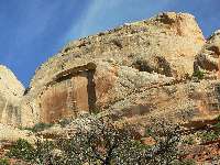 Bimodal Wall-hugger 2