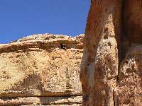 Purlin Arch location