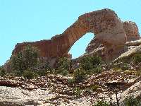 Tibbett Arch 3