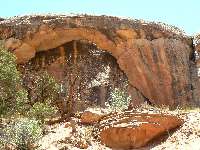 Wall Lounger Arch, UT-856 1