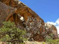Wall Lounger Arch, UT-856 2