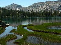 Day 3 Rockslide Maze