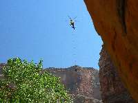 Arrival - new scenic toilet