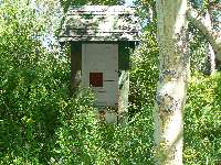 Stone Cabin Scenic Toilet