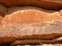 Dead Horse Can. petro