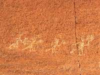 Dead Horse Can. petro