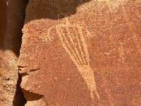 Dead Horse Can. petro