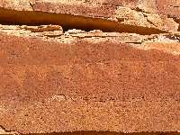 Dead Horse Can. petro