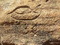 Exploring Turks Head