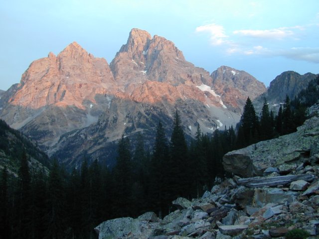 Photograph